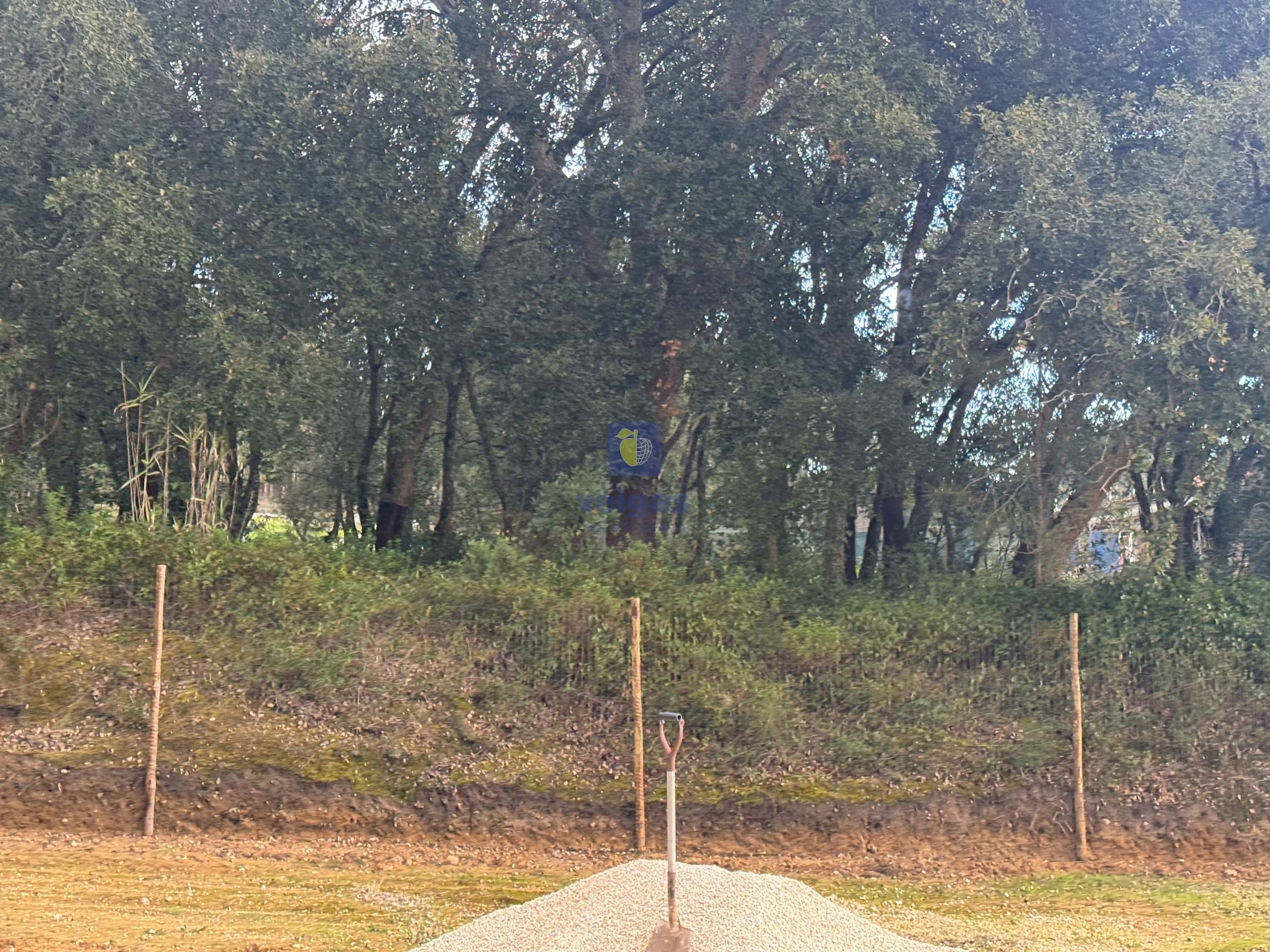 Terreno R�stico T0 - Rio Maior, Rio Maior, Santar�m - Miniatura: 9/10