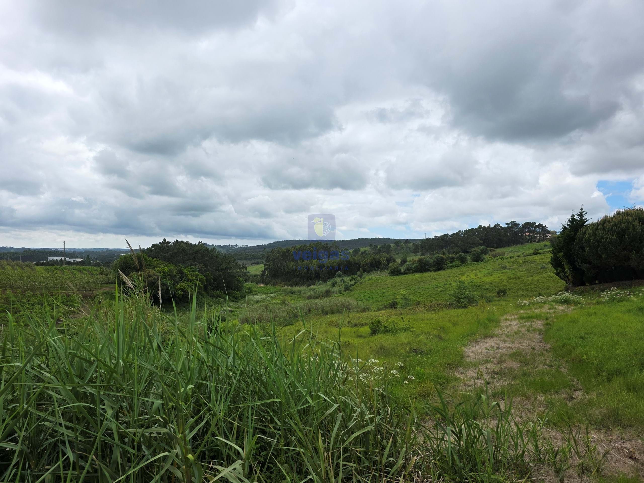 Terreno R�stico T0 - Caldas da Rainha, Caldas da Rainha, Leiria - Miniatura: 8/21