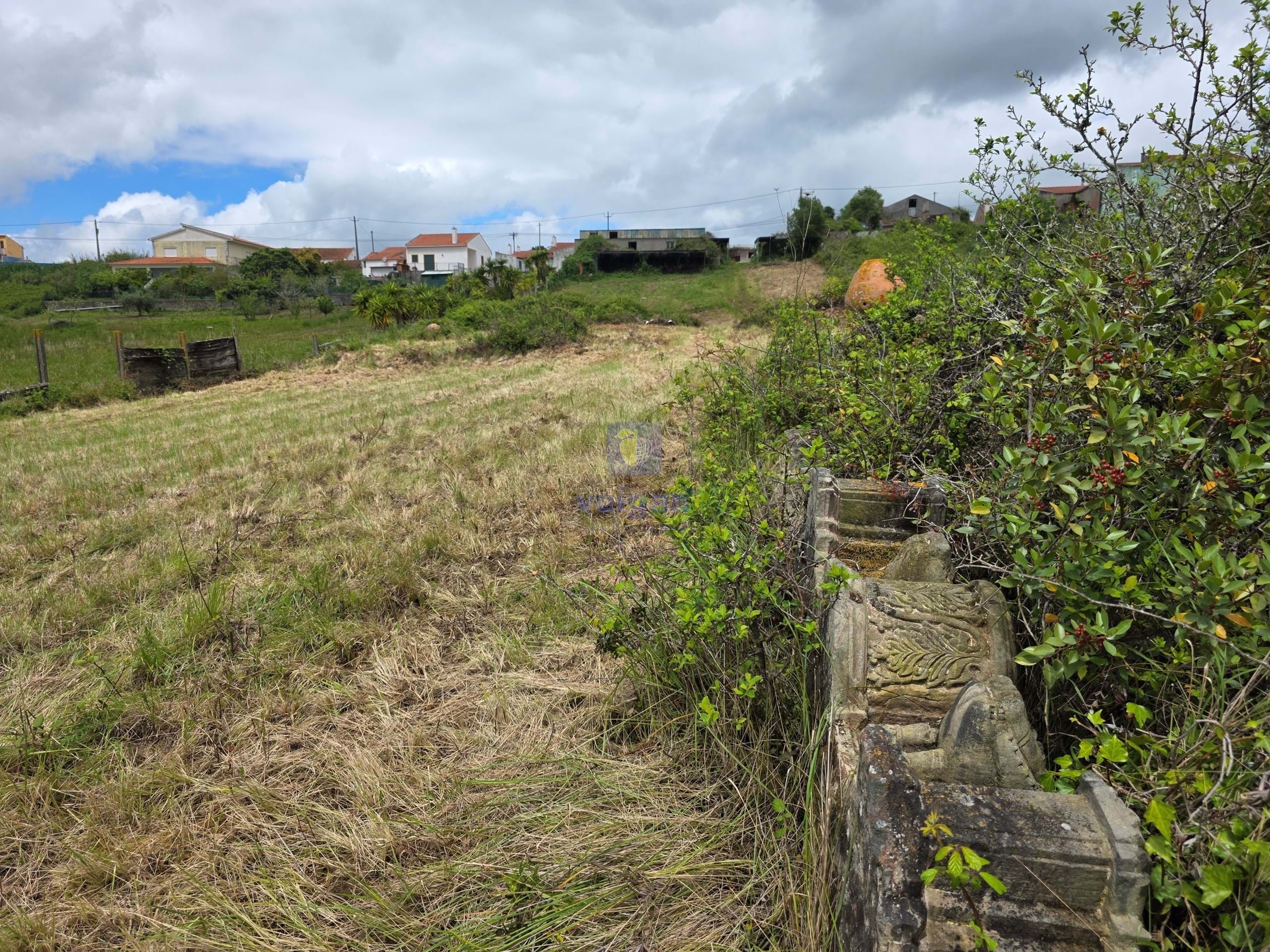 Terreno R�stico T0 - Caldas da Rainha, Caldas da Rainha, Leiria - Miniatura: 10/21