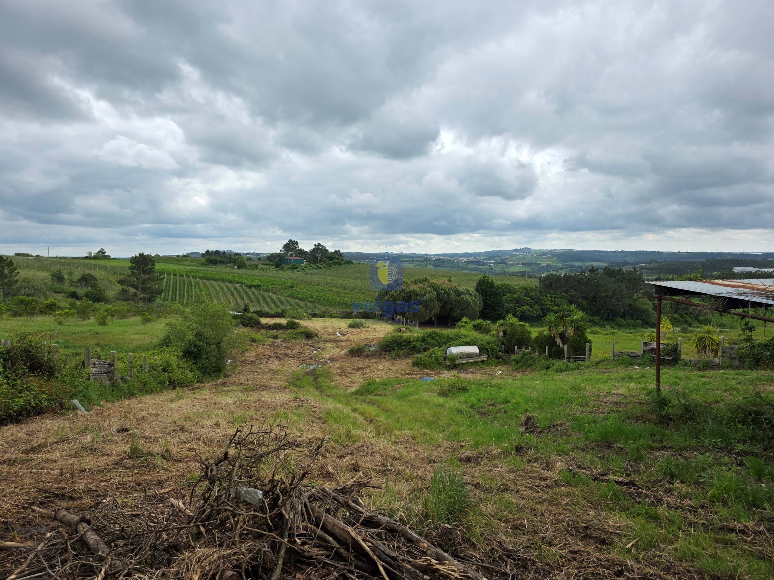 Terreno R�stico T0 - Caldas da Rainha, Caldas da Rainha, Leiria - Miniatura: 14/21