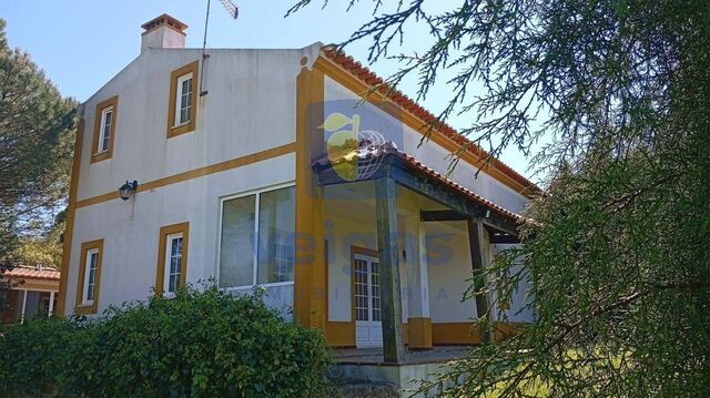 Apartamento T3 - A dos Negros, �bidos, Leiria - Imagem grande