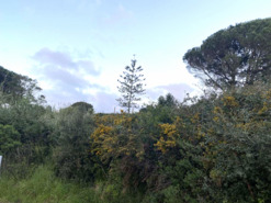 Moradia T3 - Nadadouro, Caldas da Rainha, Leiria - Miniatura: 23/26