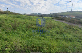 Terreno R�stico T0 - Lourinh�, Lourinh�, Lisboa - Miniatura: 2/23