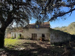 Quinta T4 - Usseira, �bidos, Leiria - Miniatura: 2/37