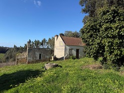 Quinta T4 - Usseira, �bidos, Leiria - Miniatura: 3/37