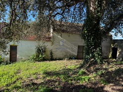 Quinta T4 - Usseira, �bidos, Leiria - Miniatura: 7/37