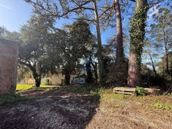 Quinta T4 - Usseira, �bidos, Leiria - Miniatura: 9/37