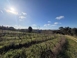 Quinta T4 - Usseira, �bidos, Leiria - Miniatura: 10/37