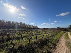 Quinta T4 - Usseira, �bidos, Leiria - Miniatura: 11/37