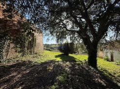 Quinta T4 - Usseira, �bidos, Leiria - Miniatura: 12/37