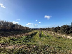 Quinta T4 - Usseira, �bidos, Leiria - Miniatura: 13/37