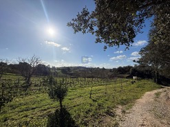 Quinta T4 - Usseira, �bidos, Leiria - Miniatura: 14/37