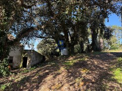 Quinta T4 - Usseira, �bidos, Leiria - Miniatura: 15/37