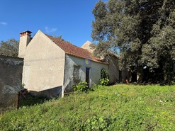 Quinta T4 - Usseira, �bidos, Leiria - Miniatura: 16/37