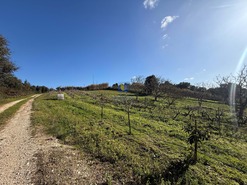 Quinta T4 - Usseira, �bidos, Leiria - Miniatura: 17/37