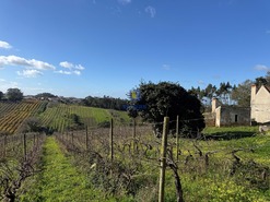 Quinta T4 - Usseira, �bidos, Leiria - Miniatura: 19/37