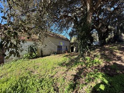 Quinta T4 - Usseira, �bidos, Leiria - Miniatura: 20/37