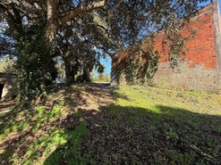 Quinta T4 - Usseira, �bidos, Leiria - Miniatura: 23/37