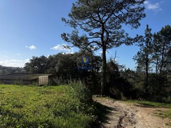 Quinta T4 - Usseira, �bidos, Leiria - Miniatura: 26/37