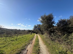 Quinta T4 - Usseira, �bidos, Leiria - Miniatura: 29/37