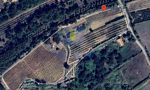 Quinta T4 - Usseira, �bidos, Leiria - Miniatura: 33/37