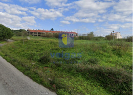Terreno R�stico T0 - Lourinh�, Lourinh�, Lisboa - Miniatura: 23/23