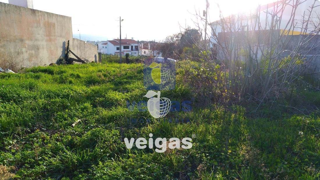 Terreno R�stico T0 - Gaeiras, �bidos, Leiria - Miniatura: 5/6