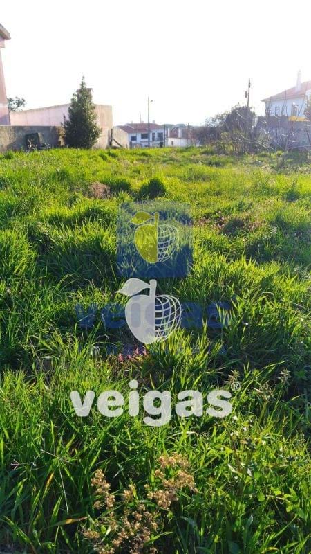 Terreno R�stico T0 - Gaeiras, �bidos, Leiria - Miniatura: 6/6