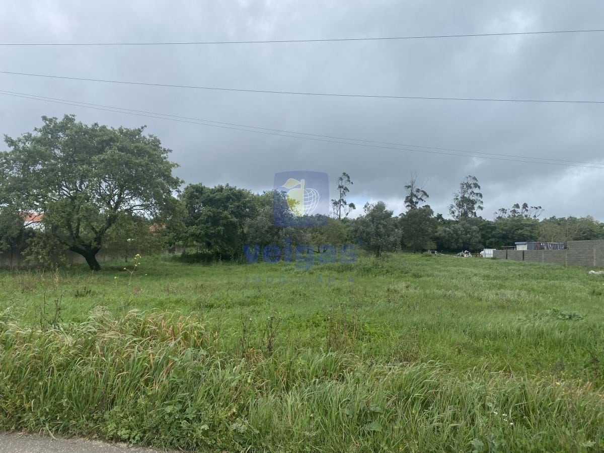 Terreno R�stico T0 - Turquel, Alcoba�a, Leiria - Miniatura: 7/17