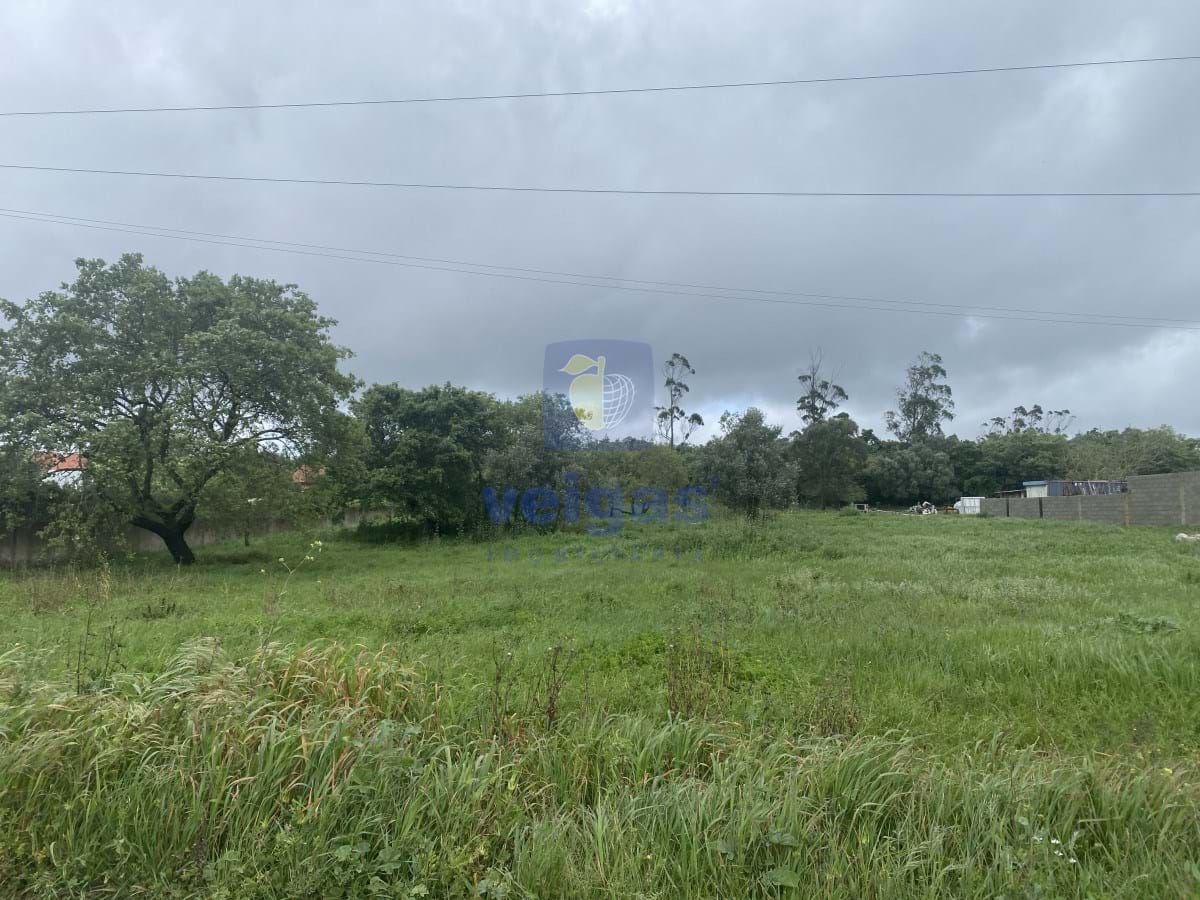 Terreno R�stico T0 - Turquel, Alcoba�a, Leiria - Miniatura: 10/17