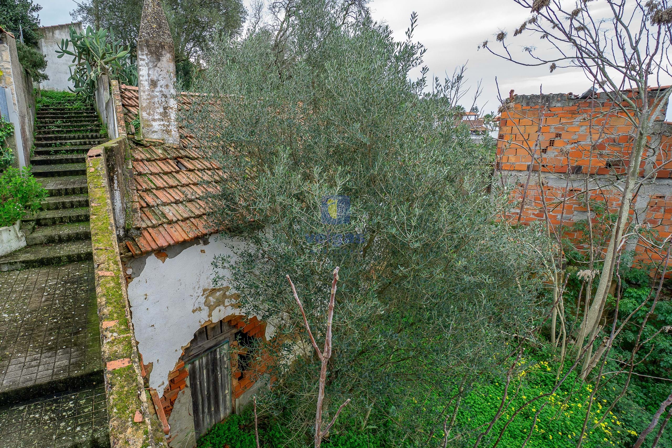 Armaz�m T0 - Chamusca, Chamusca, Santar�m - Miniatura: 6/26