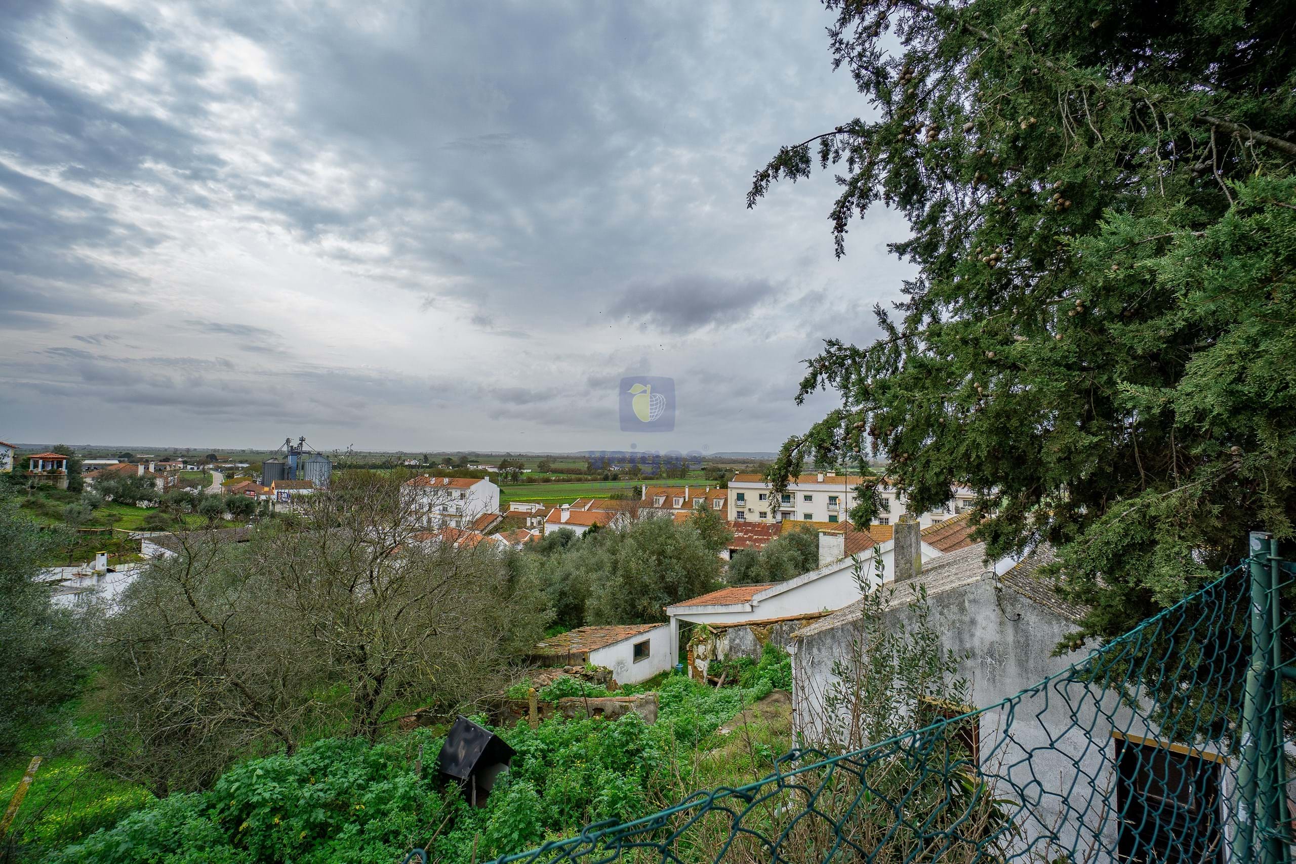 Armaz�m T0 - Chamusca, Chamusca, Santar�m - Miniatura: 19/26