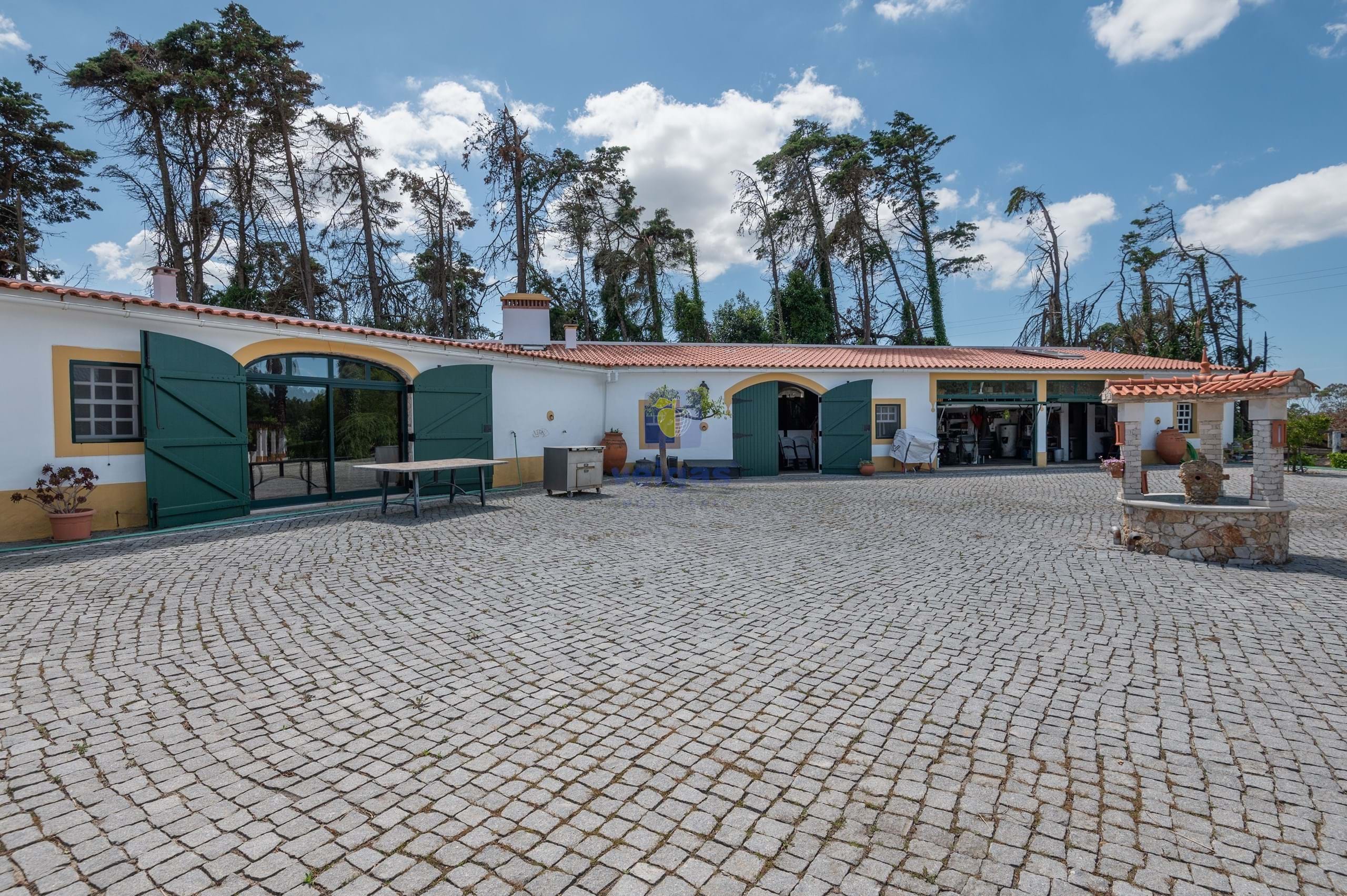 Quinta T4 - Carvalhal, Bombarral, Leiria - Miniatura: 31/80