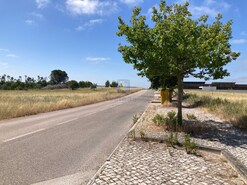 Terreno R�stico T0 - Santo Onofre, Caldas da Rainha, Leiria - Miniatura: 7/7