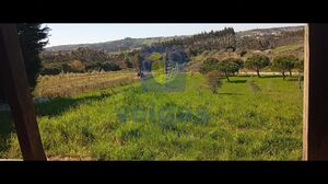 Apartamento T3 - A dos Negros, �bidos, Leiria - Miniatura: 22/26
