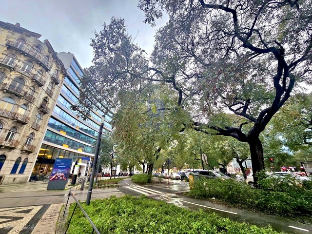 Loja T0 - Arroios, Lisboa, Lisboa - Imagem grande