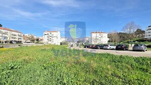 Terreno R�stico T0 - Vale de Santar�m, Santar�m, Santar�m - Miniatura: 5/16