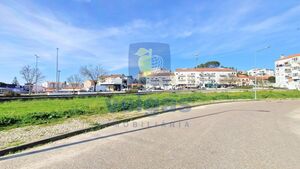 Terreno R�stico T0 - Vale de Santar�m, Santar�m, Santar�m - Miniatura: 6/16