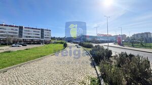 Terreno R�stico T0 - Vale de Santar�m, Santar�m, Santar�m - Miniatura: 7/16