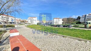 Terreno R�stico T0 - Vale de Santar�m, Santar�m, Santar�m - Miniatura: 9/16
