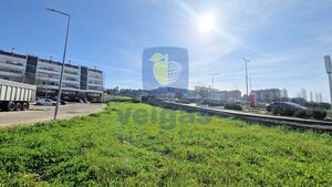 Terreno R�stico T0 - Vale de Santar�m, Santar�m, Santar�m - Miniatura: 11/16