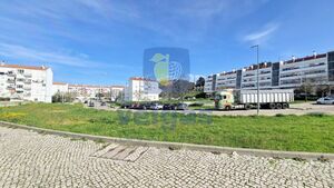 Terreno R�stico T0 - Vale de Santar�m, Santar�m, Santar�m - Miniatura: 14/16