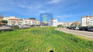 Terreno R�stico T0 - Vale de Santar�m, Santar�m, Santar�m - Miniatura: 16/16