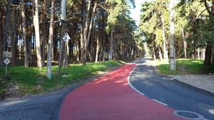 Moradia T3 - Campolide, Lisboa, Lisboa - Miniatura: 8/48