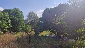 Armazm T0 - Calvaria de Cima, Porto de Ms, Leiria - Miniatura: 30/33