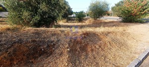 Terreno Urbano T0 - Alcanena, Alcanena, Santarm - Miniatura: 3/14