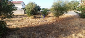 Terreno Urbano T0 - Alcanena, Alcanena, Santarm - Miniatura: 4/14