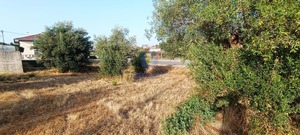 Terreno Urbano T0 - Alcanena, Alcanena, Santarm - Miniatura: 6/14