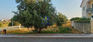 Terreno Urbano T0 - Alcanena, Alcanena, Santarm - Miniatura: 12/14