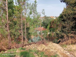 Terreno Urbano T0 - Leiria, Leiria, Leiria - Miniatura: 7/11